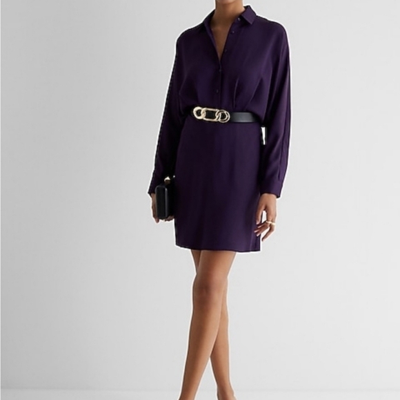 Express Dresses & Skirts - Express Purple Geometric Button Down Long Sleeve Shirt Dress Medium